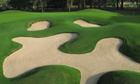 sueno dunes golf course